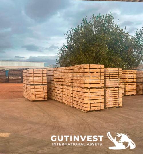 Aserradero para fabricación tableros pallets madera