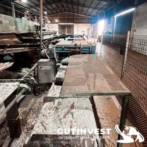Aserradero para fabricación tableros pallets madera