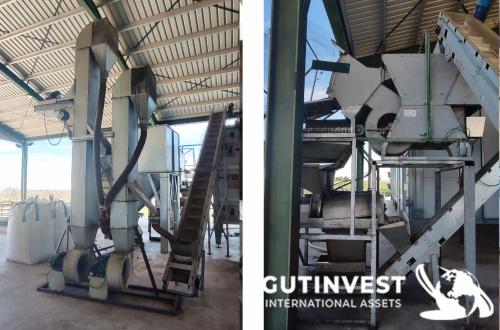 Pistachio Processing Line - 1500 kg/hour