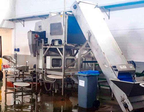 Mollusc packaging line