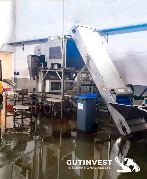 Mollusc packaging line