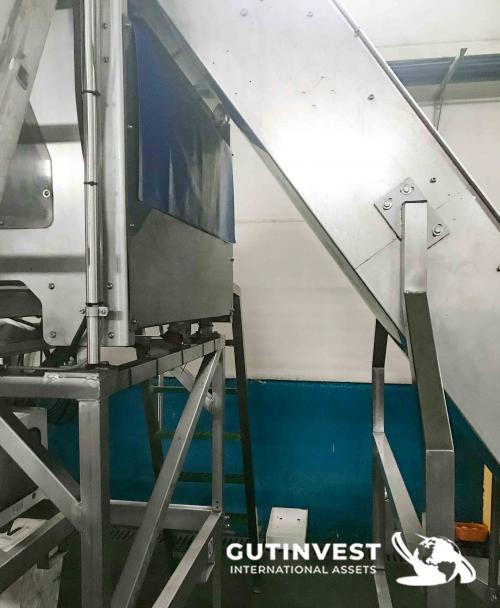 Mollusc packaging line