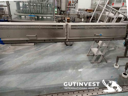 Sterilizer + Conveyor Belt