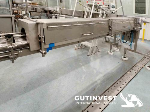 Sterilizer + Conveyor Belt