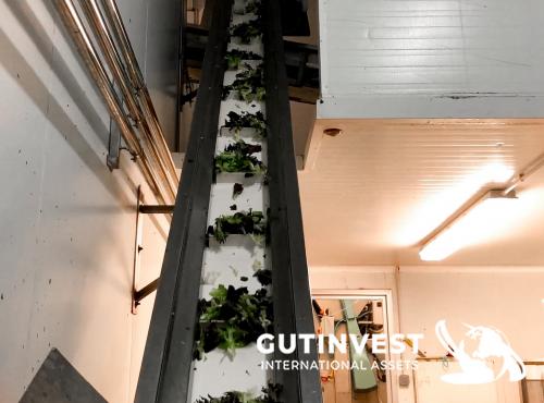 Vertical packaging machine with multihead weigther 10-heads.
