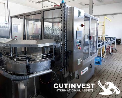 Glass Bottle Rinsing Machine