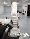 4  -  conveyor belt