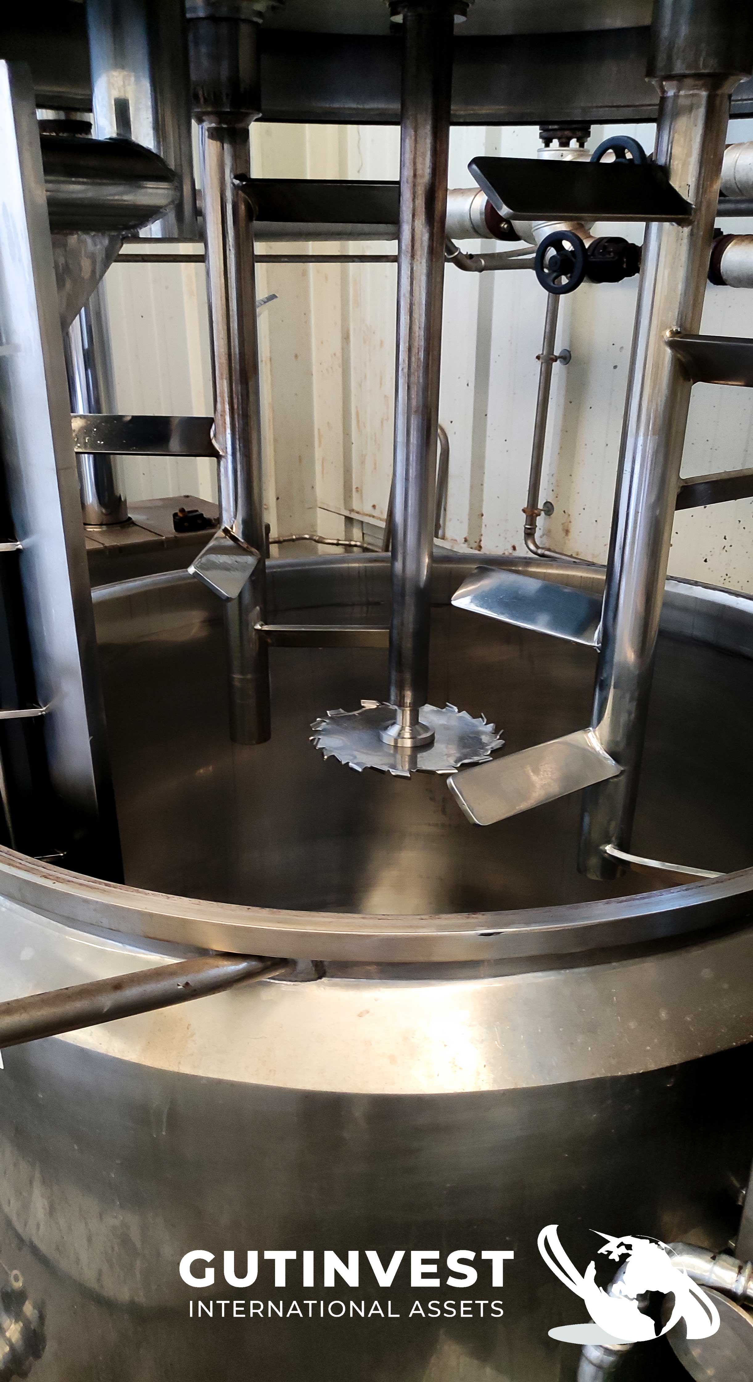 Mixer - Reactor of 1.000 lts with homogenizer