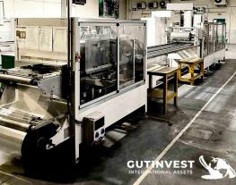 Blister packaging machine - Hamer