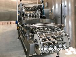 Máquina cascadora de huevos automática "PELBO"